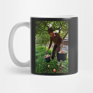 Senior farmer picking apples Mug